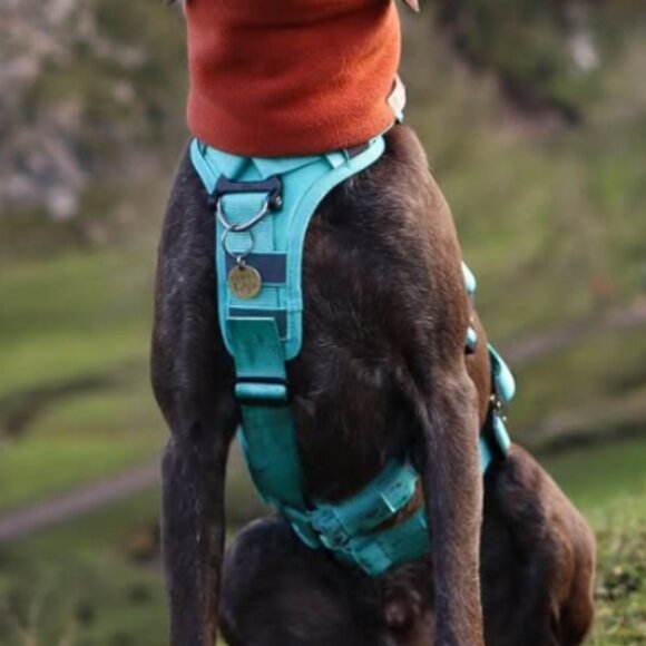 NWT high quality Saker Extended Ascension Dog Harness, hike/walk/car all in one - Picture 11 of 13